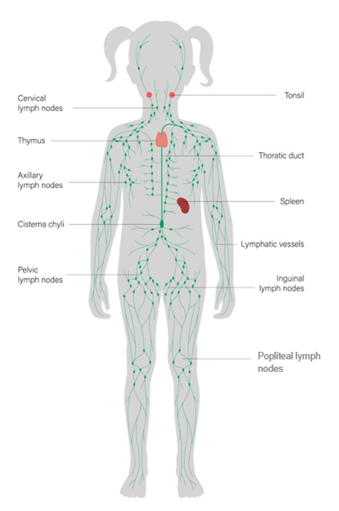 Swollen glands West Yorkshire Healthier Together