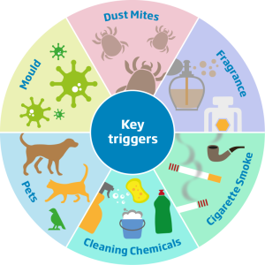 Circle with key asthma triggers dust mites, fragrance, cigarette smoke, cleaning chemicals, pets and mould