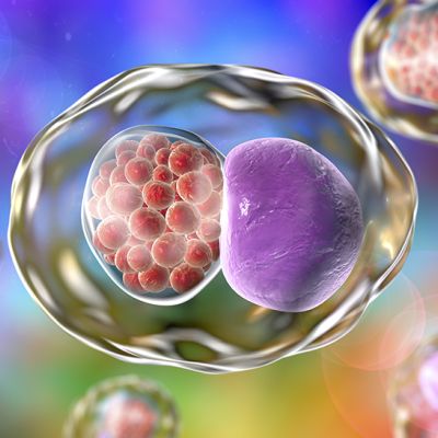 Sexually transmitted infections (STIs) :: West Yorkshire Healthier Together